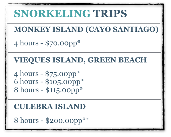 Screen Shot 2017-04-17 at 3.43.47 PM