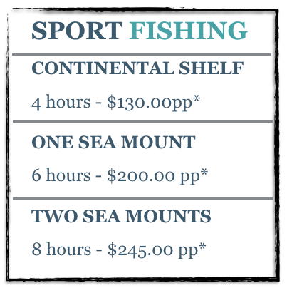 Screen Shot 2017-04-17 at 3.43.54 PM